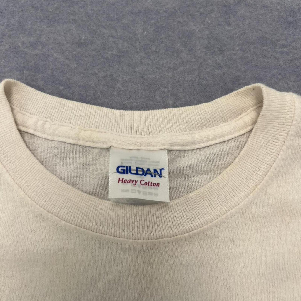 Vintage Gildan Thomas The Tank “Why Was I Born A Train” Derp Y2K Funny Graphic Tee M
